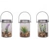 Coupon 🎉 Alpine 3 In. W. X 6 In. H. X 4 In. L. Warm White LED Hanging Succulent Jar Patio Lantern 👏